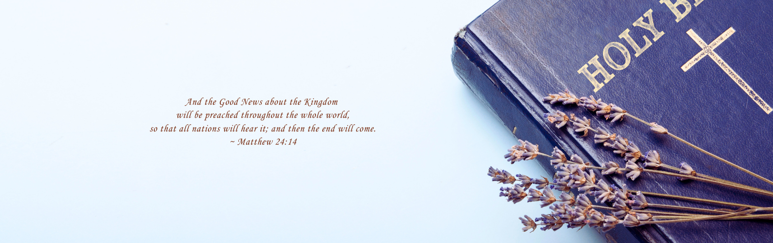 The Gospel of Salvation vs. The Gospel of the Kingdom