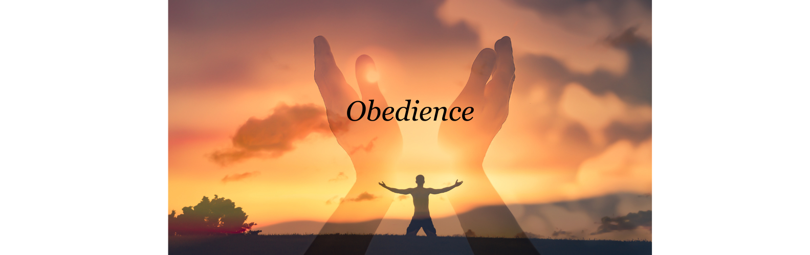 Obedience to the Holy Spirit is Critical for the Christian Life