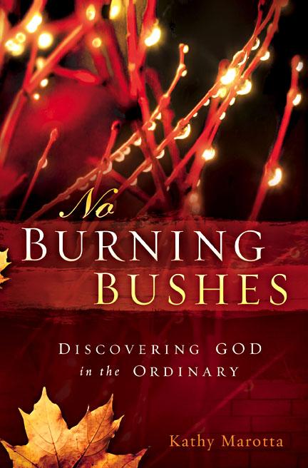No Burning Bushes : Discovering God in the Ordinary
